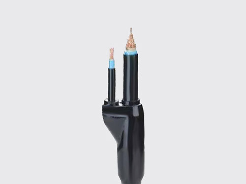 分支电缆 分支电缆